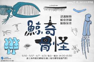 永續海洋工作坊《鯨奇骨怪》活動圖片